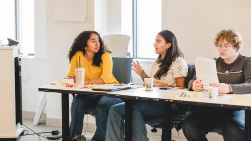 Certificate in Adolescent Sex Education Basics